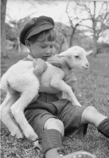 Farmer's boy with lamb, Drone 1944.