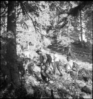 Saanen 1940; On the way to the mountain festival.