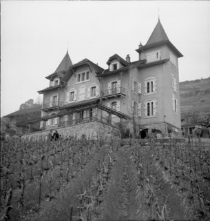 Mise des vins de la ville de Lausanne, wine auction, 1954.