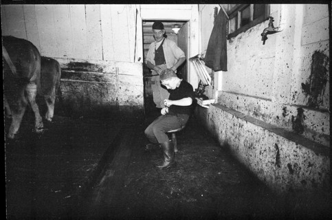 Boy in a barn in the Emmental, 1970.