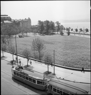Rape field in the city centre; 1944.