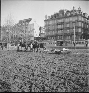 Extended war cultivation in the city centre; 1941.