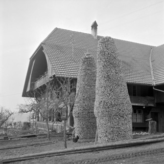 Tristen piled up pieces of firewood, in Bowil, 1964.