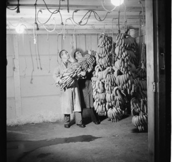 Import of Bananas, 1947.