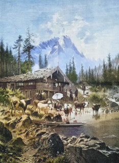 Refreshment at the alpine pasture