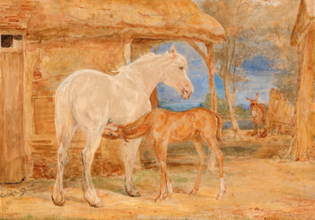 Grey Mare and Chestnut Foal