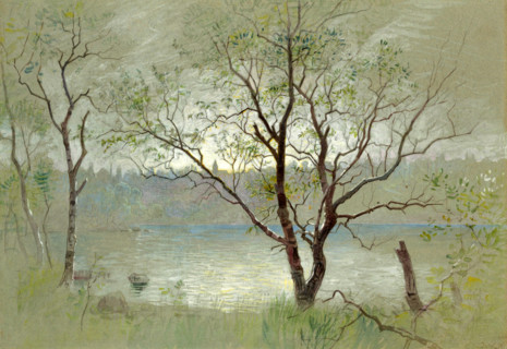 Two trees in the foreground frame the composition. Water in the middle ground