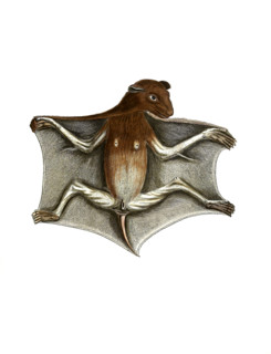 Lemur volans