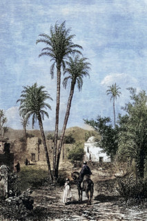An oasis in the Sahara around 1800. Algeria. digital reproduction of a historical original