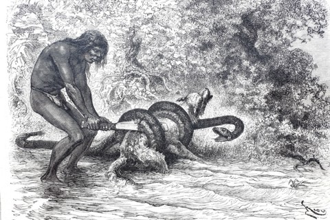 A South American Indian frees his dog from the stranglehold of a boa constrictor snake.