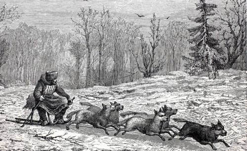 Dog team.
