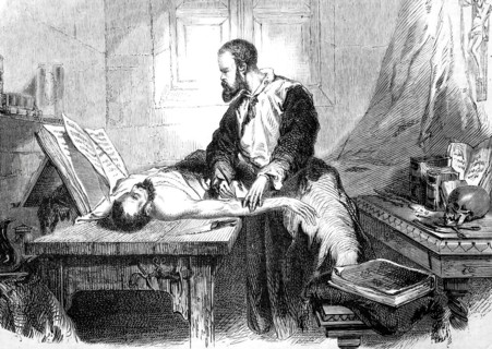 Andreas Vesal or Andreas Vesalius.