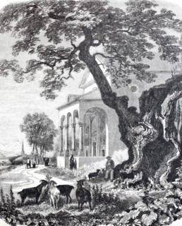 Chapel near Trons.