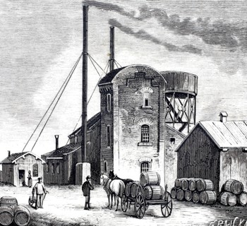 Petroleum springs in Oelheim.