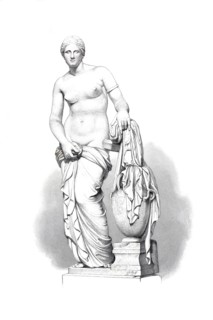 Venus.
