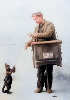 Barrel organ player. Barrel organ player. with a small monkey. circa 1900. Historical. digitally