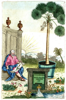 Cover of Botanica Pharmaceutica by Andreas Friedrich Happe