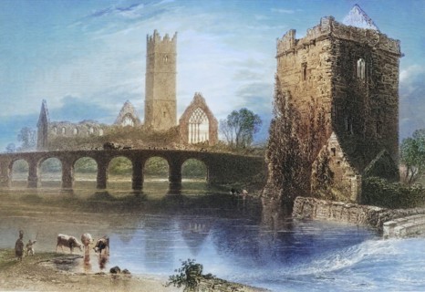 Abbey of Clare. Galway. Ireland. from The Scenery and Antiquities of Ireland. 1841. digital