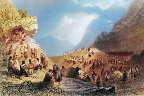 A pattern in Connemara. Ireland. from The Landscape and Antiquities of Ireland. 1841. digital