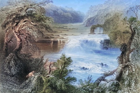 Salmon Leap near Leixlip. County Kildare. Ireland. from Landscape and Antiquities of Ireland. 1841.