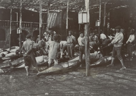 Tuna gutted after the Acireale slaughter