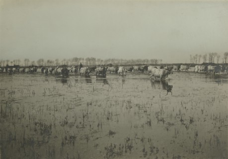 Pontine Marshes
