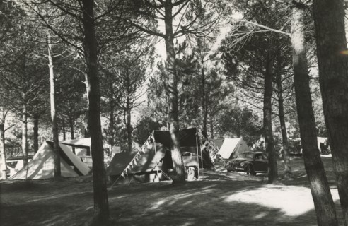 International Camping Park of Marina di Ravenna. 1952-1956