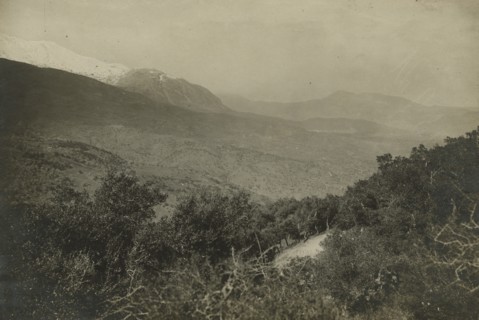 Countryside near Castelbuono. ca. 1910