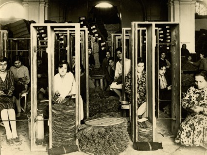 Tobacco processing