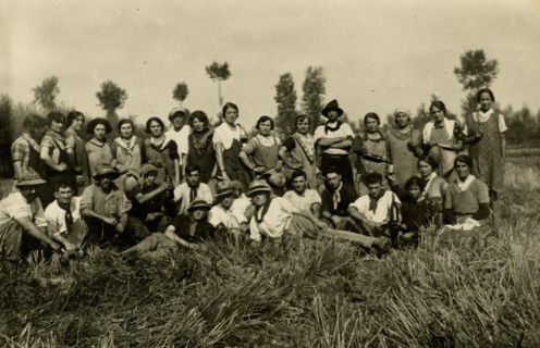 Stop during the harvest