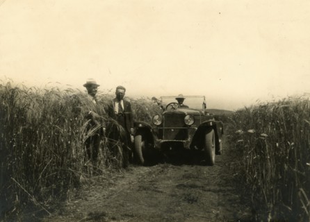 Loreto Farm in Irsina