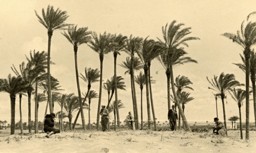 Touring Club members in Libya
