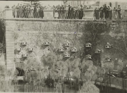 At the Fountain of Arethusa in Ortigia.  Syracuse. 
	
		1924