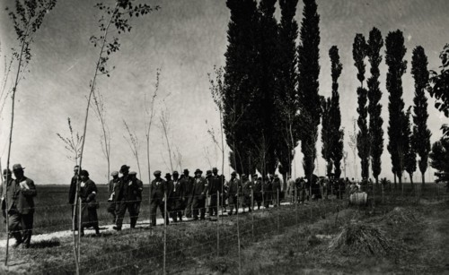 Visit to Casa Guiccioli. 
	
		1931