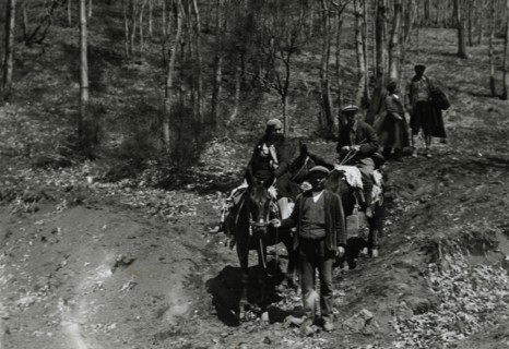 Climbing Etna. 
	
		1924
