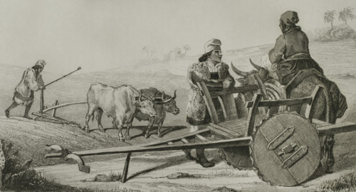 Sardinia. Sardinian farmers. Engraving by Woltener. Lemaitre direxit. History of Malta and Gozo, by