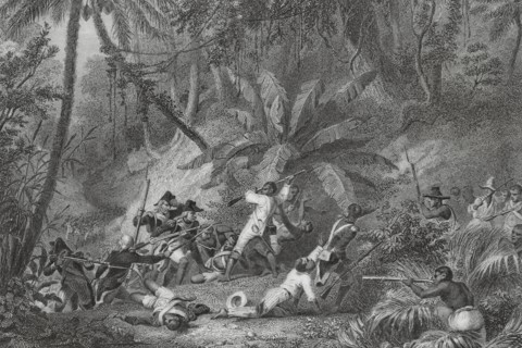 Haitian Revolution (1791-1804). Revolutionary movement in the French colonies, culminating in the