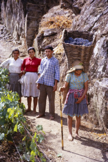 A series of images about port wine production in Portugal c 1960 - family group with young woman