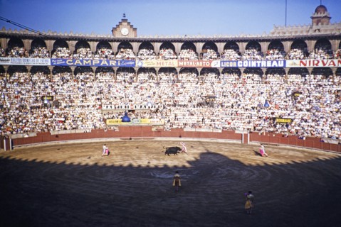 Inside Plaza de Toros Monumental de Barcelona bullring, bullfighting in progress, Barcelona,
