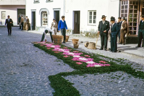 Laying out plants and flowers street religious procession, Procissao de Senhor der Infernos,