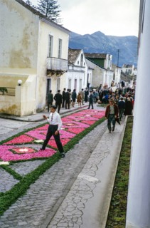 Laying out plants and flowers street religious procession, Procissao de Senhor der Infernos,