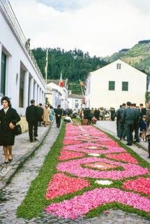 Laying out plants and flowers street religious procession, Procissao de Senhor der Infernos,