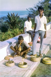 Snake charmer at Mount Faber, Singapore, southeast Asia, 1965.