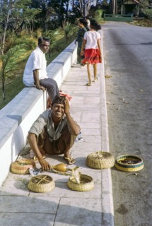 Snake charmer at Mount Faber, Singapore, southeast Asia, 1965.