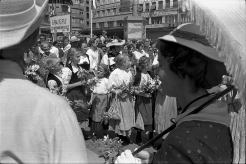 Journey on the occasion of centenary of first Cook travel through Switzerland, 1963