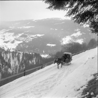 Post sleigh in the Grisons 1953