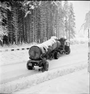 Oak log transport from Muhleberg to Diessenhofen, 1944