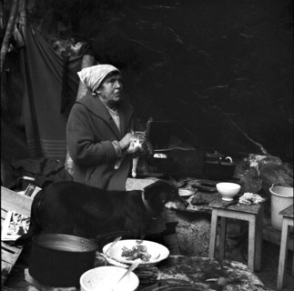Basket maker living