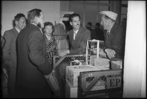 Swiss Himalaya expedition 1947: Preparation