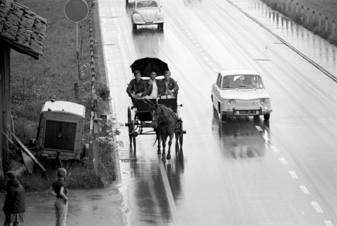 Holiday trip on a horse drawn carriage: 3 young men in the region of Biel, 1970